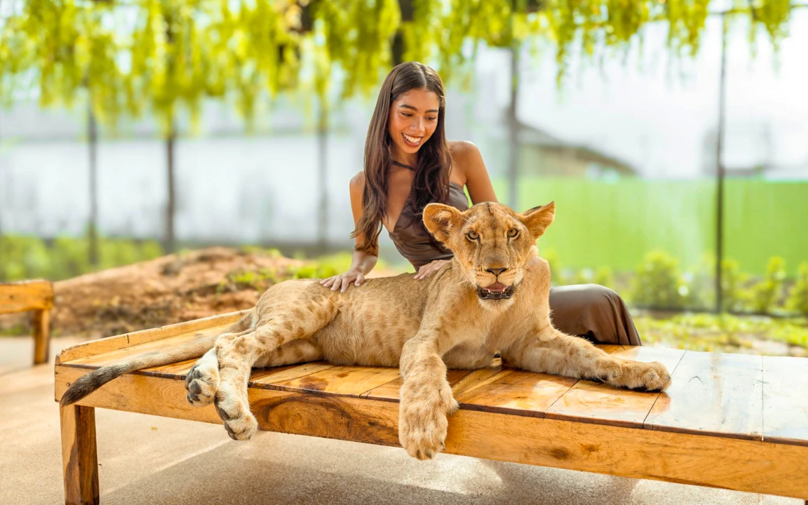 Lion Land Phuket Ticket Price